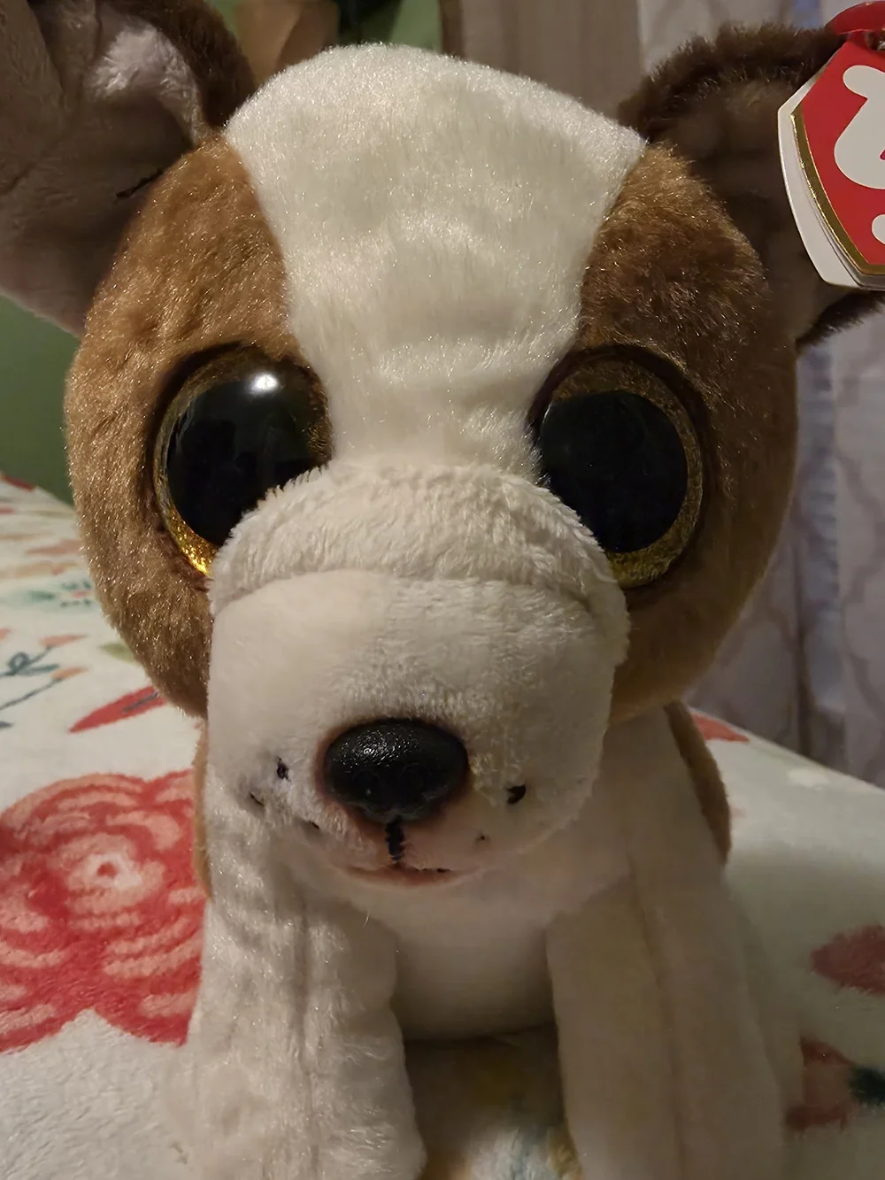 TY Beanie Boos Brown & White Plush Dog - Soft Collectible Puppy